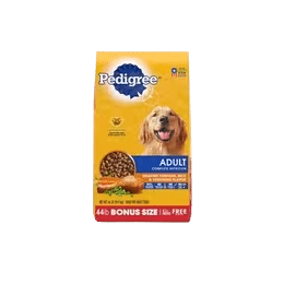 Dogs